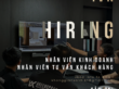tuyển dụng nhân viên kinh doanh & nhân viên tư vấn